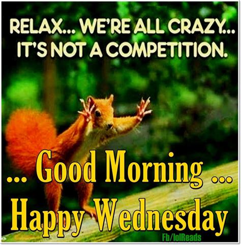 funny happy wednesday quotes